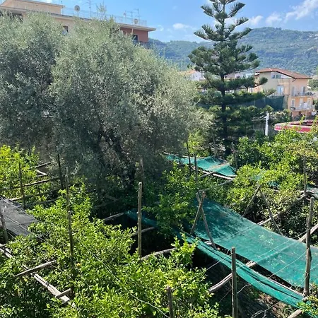 Exclusive Large 3 Bed With Pool Appartement Sorrento